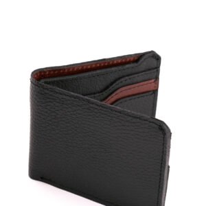 Cartera Negra modelo Clásico
